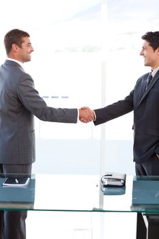 Cheerful businessmen closing a deal by shaking their hands at the office