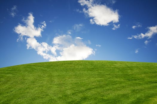 green field and blue sky 