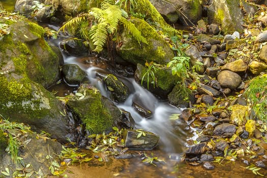 Falls on the small mountain river in a wood shooted in autumn