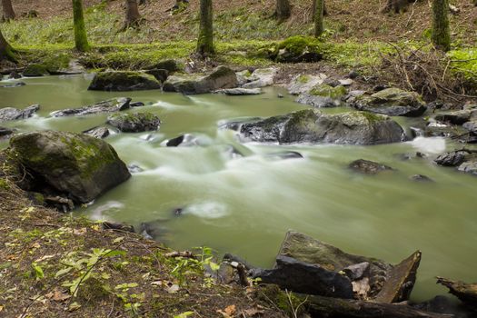 autumn mountain stream in a green forest