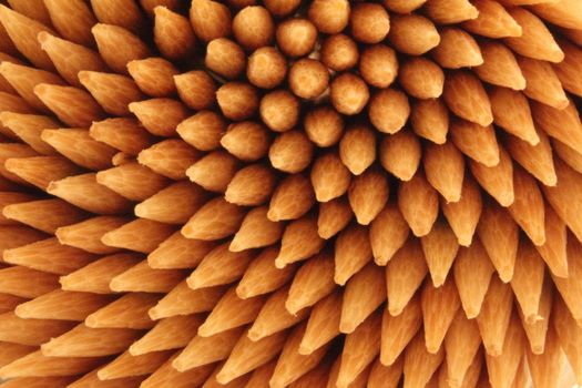 macro detail of toothpicks