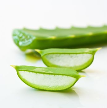 cut aloe leaves isolated on white background