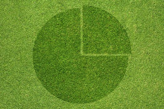 Pie chart on green grass texture and background 
