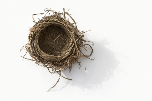 Empty bird nest on white background