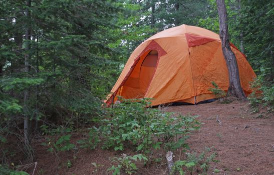 An orange tent sitting in Algonquin Provincial Park in Ontario, Canada.
