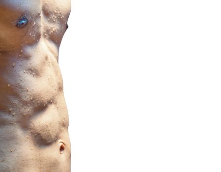 Wet torso with water drops against the white background
