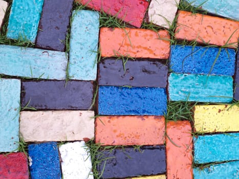 Colourful footpath on green yard in garden