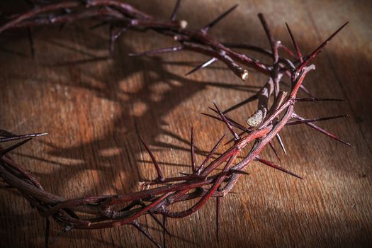 This is a crown of thorns on the Bible