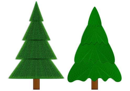 Two evergreen fir-trees isolated on a white background