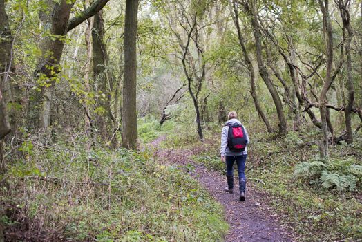 green forest in autumnand  adult woman with backpack