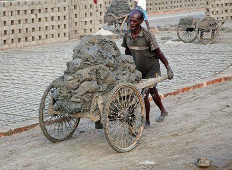 SARBERIA,INDIA, JANUARY 14: Brick field. Laborers are carrying soil from the river and keeping them in the brick field area on January 14, 2009 in Sarberia, West Bengal, India