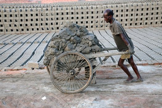 SARBERIA,INDIA, JANUARY 14: Brick field. Laborers are carrying soil from the river and keeping them in the brick field area on January 14, 2009 in Sarberia, West Bengal, India