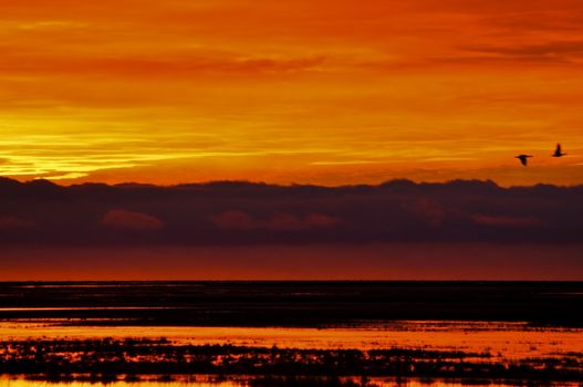 An orange and yellow sunrise in Tierra del Fuego, Argentina.