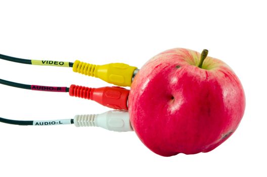 Tulip audio video wires plugs connect to apple concept. Colorful red yellow white cables with notes.