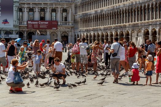 16. Jul 2012 - People with pigeons in San Marco Plaza 3 in Venice, Italy 