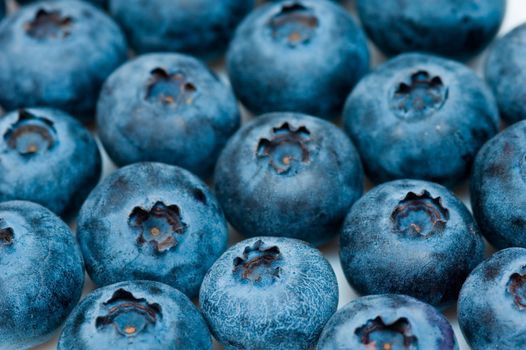 Blueberry close up background texture