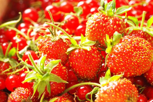 Red currant & strawberry in basket, shallow depth of field