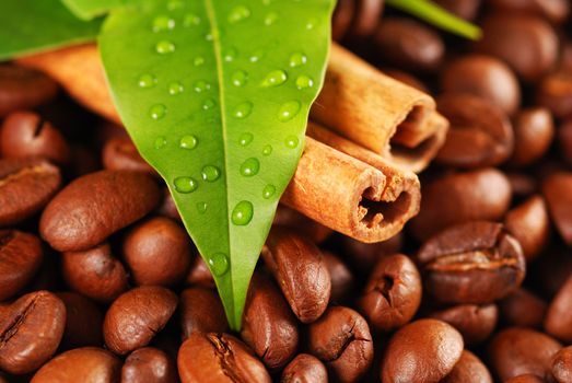 Coffee beans and cinnamon with leaves