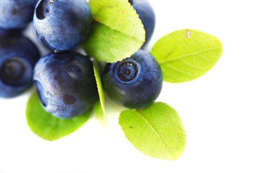 Blueberries over white background. Shallow depth of field.