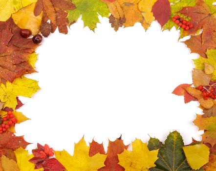 Horizontal Frame of Autumn Leafs on white background