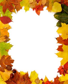 Vertical Frame of Autumn Leaves and Yield on white background
