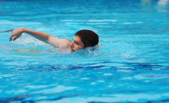 Swimmer in the swimming pool