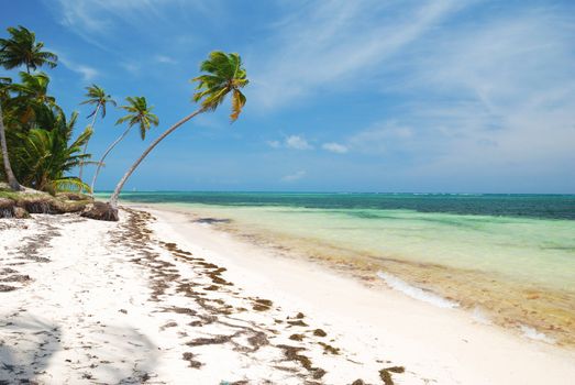 Wild caribbean beach in Dominican Republic