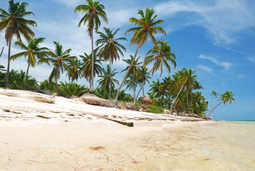 Wild caribbean beach in Dominican Republic