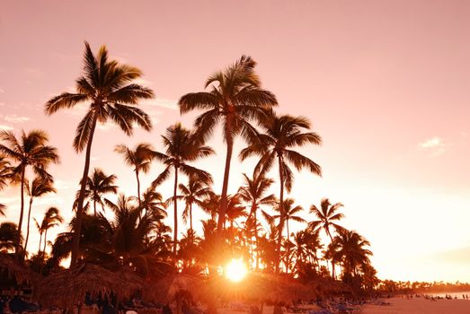 Beautiful caribbean beach sunset in Dominican Republic