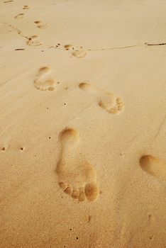 Footprints in the sand on caribbean beach