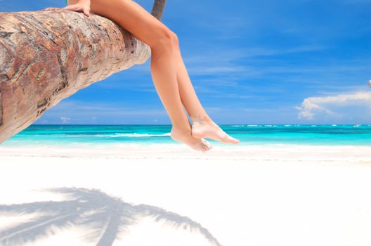 Woman on palm on caribbean beach