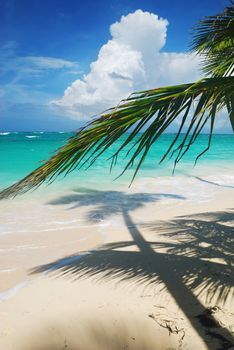 Beautiful caribbean beach in Dominican Republic