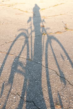shadow of a bicycle on the asphalt