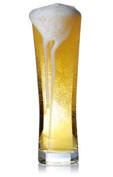 Beer glass isolated on white. Soft reflection.