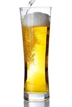 Beer mug isolated on white. Pouring beer in it.