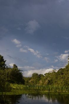 Peruivian Amazon rainforest under a dark grey sky