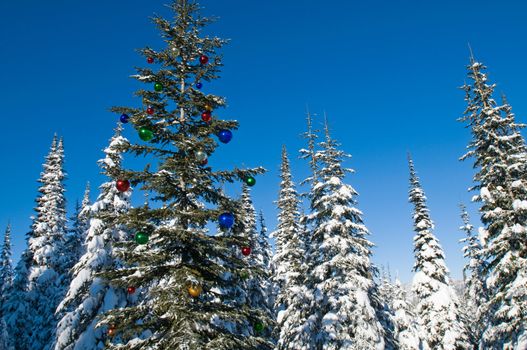 Tree in a winter forest decorated for Christmas