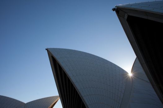The shells of the Sydney Opera House