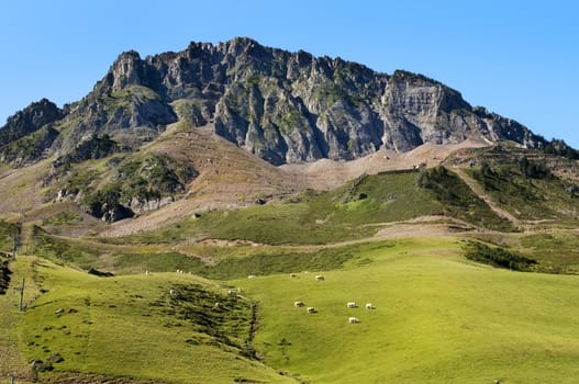 beautiful landscape with green mountain meadows in the French Pyrenees