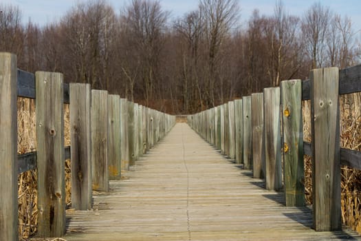 Boardwalk over a marsh