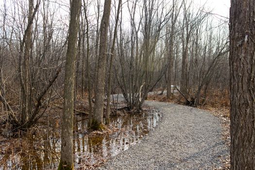 Nature trail in the park