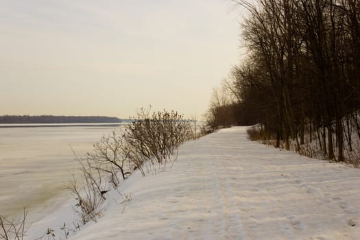 Nature trail in the park