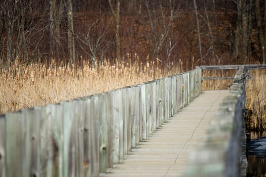 Boardwalk over a marsh