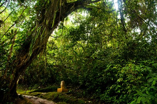 A pre-columbian statue in a forest near San Agustin, Colombia.