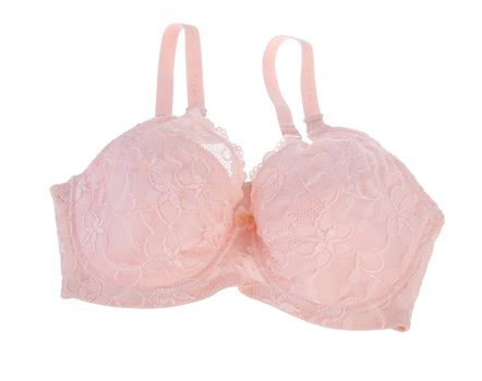 Bra. bra on the white background