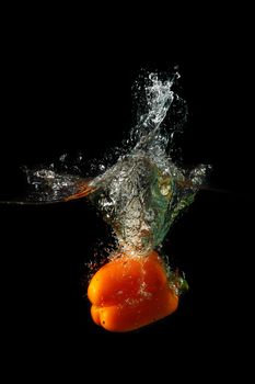 Colored orange paprika in water splashes on black background