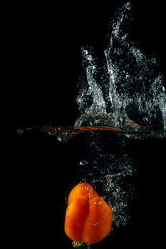 Colored orange paprika in water splashes on black background