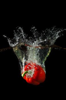 Colored red paprika in water splashes on black background