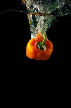 Colored orange paprika in water splashes on black background