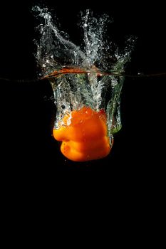 Colored orange paprika in water splashes on black background